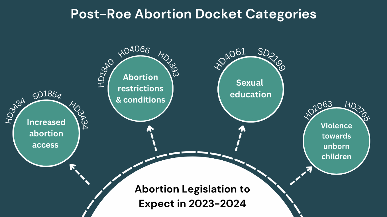 A Post-Roe Legislature Sees Opportunity for New Reproductive Healthcare Laws