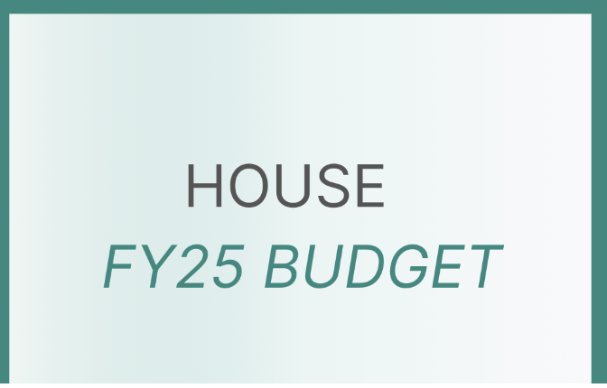 Final House FY25 Budget